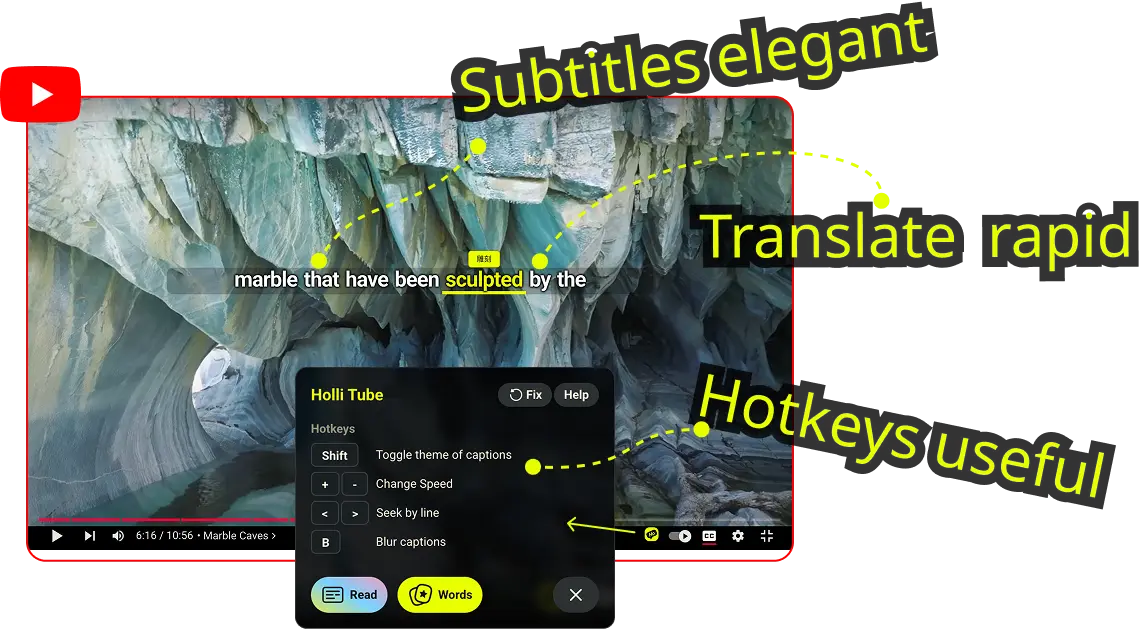 featrues of the HolliTube (chrome extension)